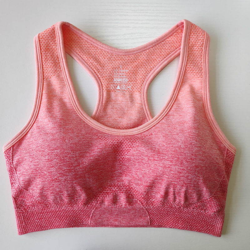 2021 New Sports Running Gym Ombre Seamless Sport Clothing Bra Push Up High Impact Yoga Top L5ie, Orange
2021 New Sports Running Gym Ombre Seamless Sport Clothing Bra Push Up High Impact Yoga Top L5ie, Orange
