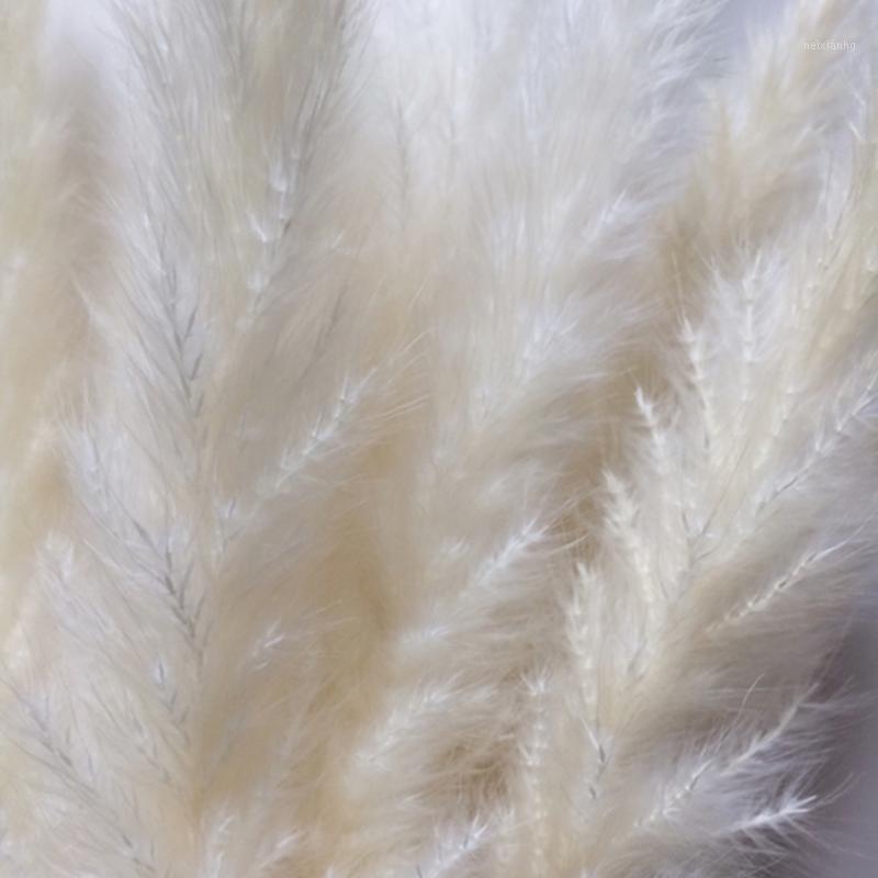 15Pcs Bulrush Natural Dried Small Pampas Grass Phragmites Wedding Flower Bunch 3 Colors for Home Decor1, Brown
15Pcs Bulrush Natural Dried Small Pampas Grass Phragmites Wedding Flower Bunch 3 Colors for Home Decor1, Brown