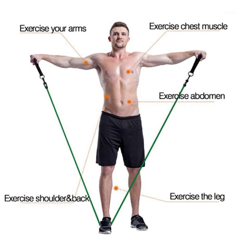 High Quality Resistance Band Gym Fitness Equipment Strength Training Latex Elastic Band Home Sports Equipment 11pcs/Set1
High Quality Resistance Band Gym Fitness Equipment Strength Training Latex Elastic Band Home Sports Equipment 11pcs/Set1
