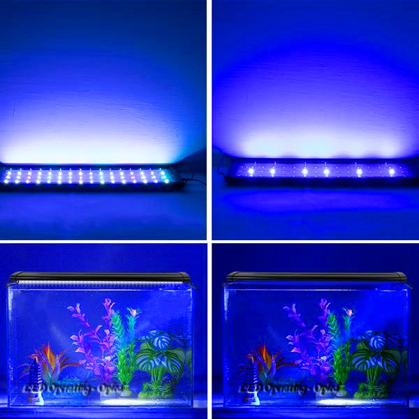 Discount 18W 66LED Full Spectrum Sea Coral Lamp light 35.43inch Black long-lasting brightness (Suitable For 35.43-43.3inch Long Aquarium)
Discount 18W 66LED Full Spectrum Sea Coral Lamp light 35.43inch Black long-lasting brightness (Suitable For 35.43-43.3inch Long Aquarium)