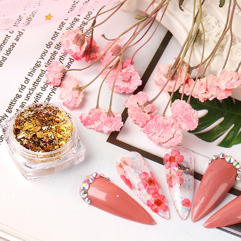 Holographic Nails Glitter Powder Dust Natural Dried Flower Decoration Summer Spring Gel Polish Nails Accessories SAFDZ01-12
Holographic Nails Glitter Powder Dust Natural Dried Flower Decoration Summer Spring Gel Polish Nails Accessories SAFDZ01-12