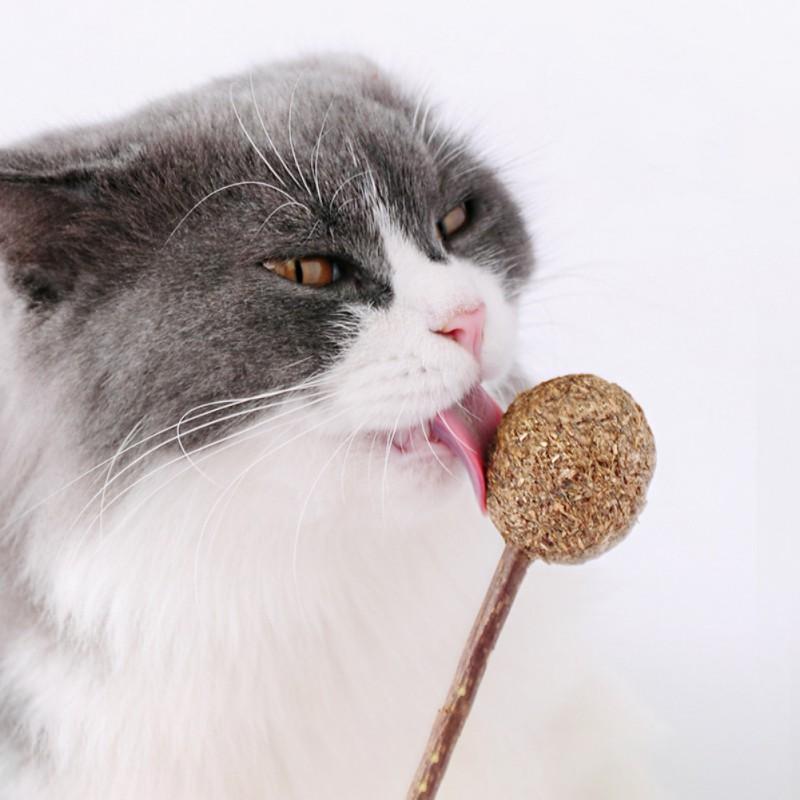Pet Cat Teeth Clean Mint Catnip Lollipop Chewing Candy Ball Toy Tease Organic Silvervine Stick Kitten Treats Snack Supply
Pet Cat Teeth Clean Mint Catnip Lollipop Chewing Candy Ball Toy Tease Organic Silvervine Stick Kitten Treats Snack Supply