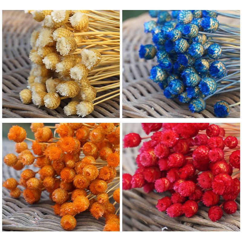 New Flowers 50 Stems Dried Flowers for Arrangements Bundle Home Decor Photo Props Handmade Air-drying SCI88, Red
New Flowers 50 Stems Dried Flowers for Arrangements Bundle Home Decor Photo Props Handmade Air-drying SCI88, Red