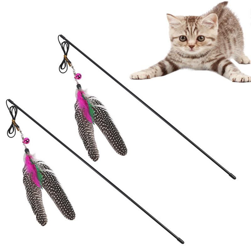 Pet Cat Catcher Teaser Toy Plush Turkey Feather Cat Toy Newly Design High Quality With Bell Plastic Cute Bird Feather Funny
Pet Cat Catcher Teaser Toy Plush Turkey Feather Cat Toy Newly Design High Quality With Bell Plastic Cute Bird Feather Funny