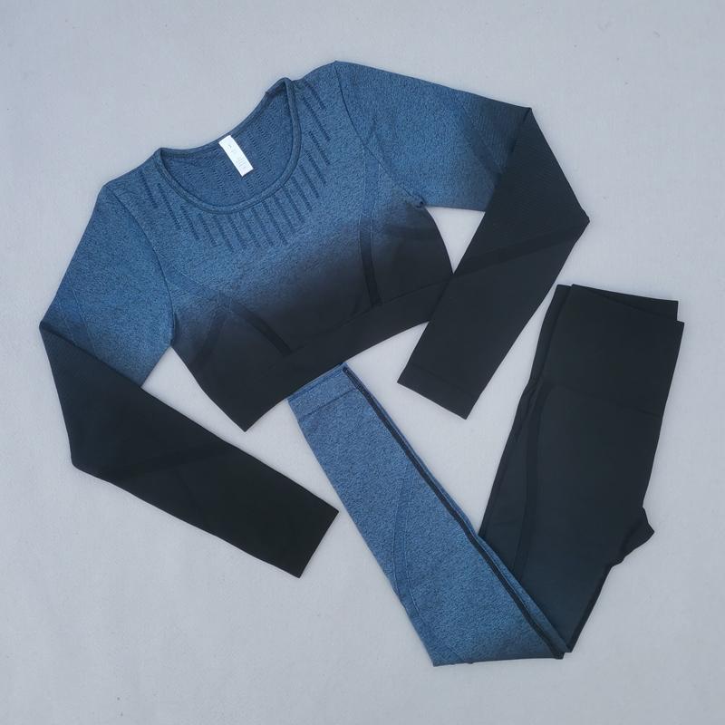 2 Piece Set Workout Clothes Women Sportwear Seamless Sports Suit Yoga Top Shirt High Waist Gym Leggings Women' Fitness Clothing, Blue set-2
2 Piece Set Workout Clothes Women Sportwear Seamless Sports Suit Yoga Top Shirt High Waist Gym Leggings Women' Fitness Clothing, Blue set-2