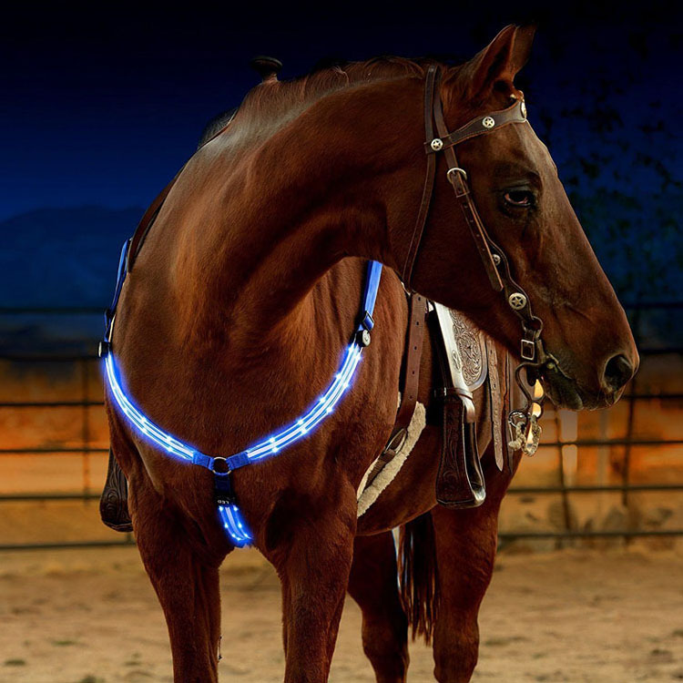 Ajustable LED Polyester Horse Harness Breast plate Webbing Night Visible Horse Riding Equipment Sport Racing Cheval Equitation
Ajustable LED Polyester Horse Harness Breast plate Webbing Night Visible Horse Riding Equipment Sport Racing Cheval Equitation