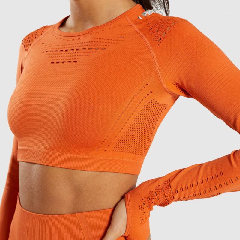 Solid Color Vital Seamless Yoga Shirt Women Fitness Long Sleeve Crop Top Workout Tops Gym Clothes Sportswear Running T-shirts1, Orange shirt
Solid Color Vital Seamless Yoga Shirt Women Fitness Long Sleeve Crop Top Workout Tops Gym Clothes Sportswear Running T-shirts1, Orange shirt
