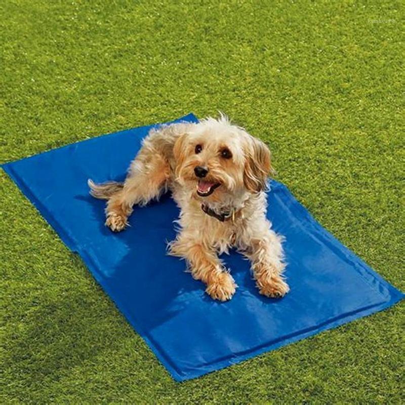 Dog Cooling Mat Pet Teddy Mattress Pet Cool Mat Bed Cat Cushion Summer Keep Cool Cooling Dog For Dogs1, As pic
Dog Cooling Mat Pet Teddy Mattress Pet Cool Mat Bed Cat Cushion Summer Keep Cool Cooling Dog For Dogs1, As pic