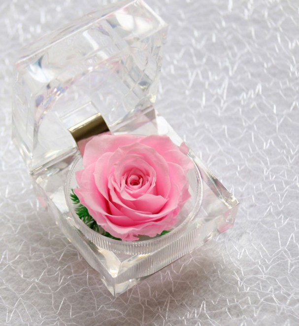 Valentine's Day gift crystal acrylic rose flower gift clear ring box marriage proposal rose flowers present, As pic
Valentine's Day gift crystal acrylic rose flower gift clear ring box marriage proposal rose flowers present, As pic