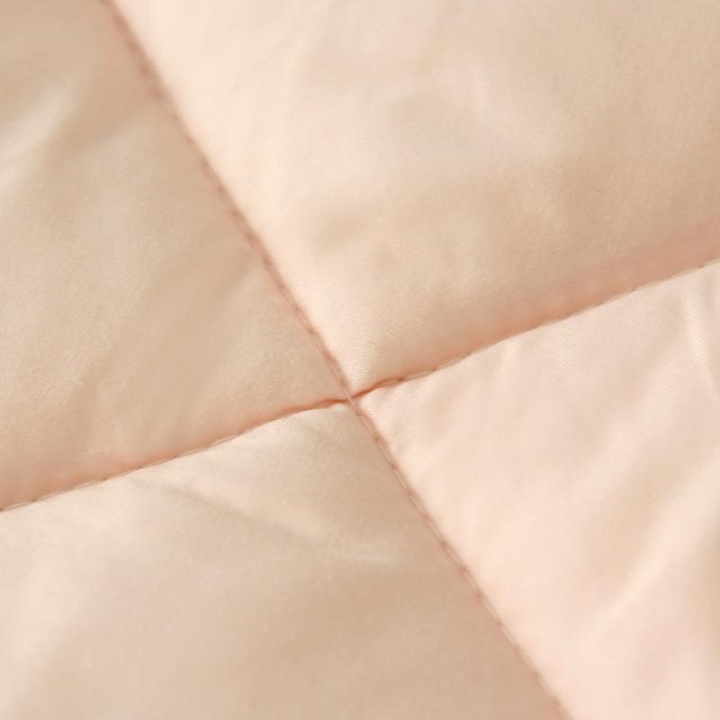Thick Filler Multi-Size Autumn Set Air-Conditioning Solid Home Quilt Warm Bedding Color Quilt Spring And Comforter, 01
Thick Filler Multi-Size Autumn Set Air-Conditioning Solid Home Quilt Warm Bedding Color Quilt Spring And Comforter, 01