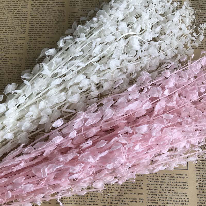 35-40CM/35g Real Natural Eternelle Dried Flowers Green Fan Bouquet,Preserved Scallop Flower Bouquet For Home Decorations,Wedding1, 02
35-40CM/35g Real Natural Eternelle Dried Flowers Green Fan Bouquet,Preserved Scallop Flower Bouquet For Home Decorations,Wedding1, 02