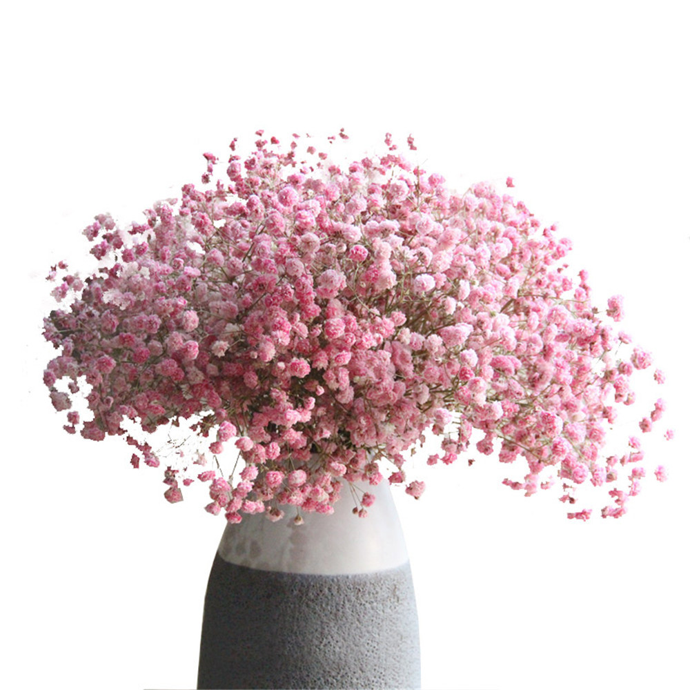 110G Pink Natural Dried Baby Breath Flower Christmas Valentine's Day Gift Wedding Touch Decor Gift Bouquet Y1128
110G Pink Natural Dried Baby Breath Flower Christmas Valentine's Day Gift Wedding Touch Decor Gift Bouquet Y1128