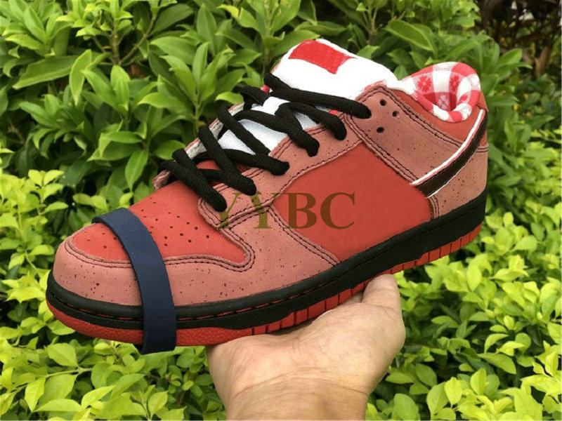 SB Low Lobster Red Green Dunk Purple Concepts yellow Blue Mens Skateboard Shoes Designer Womens Sneakers, White;red
SB Low Lobster Red Green Dunk Purple Concepts yellow Blue Mens Skateboard Shoes Designer Womens Sneakers, White;red