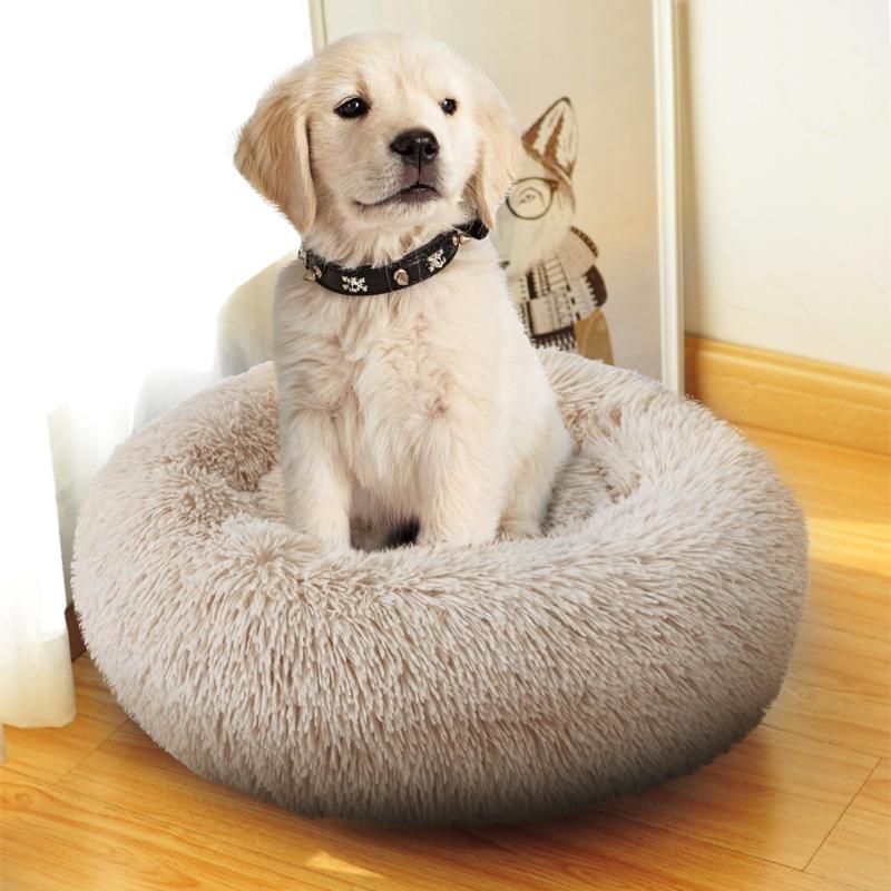 Round Plush Cat Bed House Cat Mat Winter Warm Dogs Bed Sleeping Cats Nest Soft Dog Basket Pet Cushion Portable Pets Supplies 
Round Plush Cat Bed House Cat Mat Winter Warm Dogs Bed Sleeping Cats Nest Soft Dog Basket Pet Cushion Portable Pets Supplies