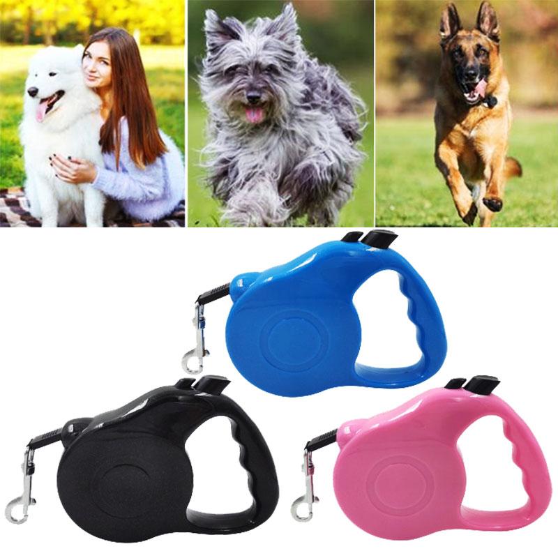 Automatic Retractable Pet Nylon Leash Durable Leads Automatic Extending Dog Leash Rope for Large Small Medium Dogs Pet Supplies
Automatic Retractable Pet Nylon Leash Durable Leads Automatic Extending Dog Leash Rope for Large Small Medium Dogs Pet Supplies