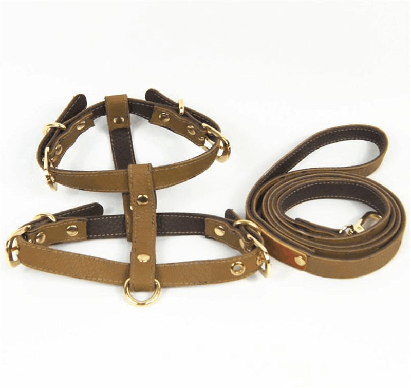 Brown Leather Harnesses Leashes Dog Cat Pet Collars Outdoor Walk Travel Must Eco-Friendly Leashes Free Shipping Hot
Brown Leather Harnesses Leashes Dog Cat Pet Collars Outdoor Walk Travel Must Eco-Friendly Leashes Free Shipping Hot