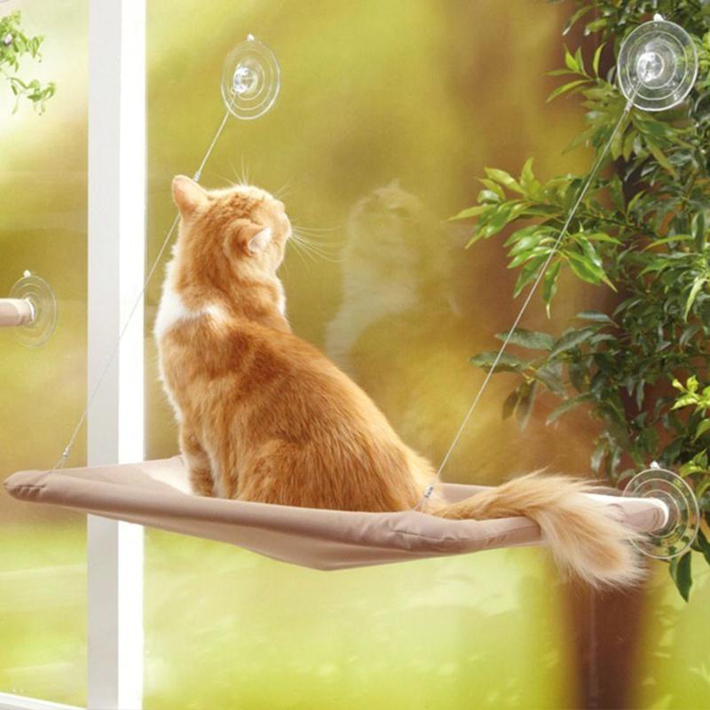 Hot Portable Comfortable Cat Pet Bed Cute Pet Hanging Beds Bearing Cat Sunny Seat Window Hammock
Hot Portable Comfortable Cat Pet Bed Cute Pet Hanging Beds Bearing Cat Sunny Seat Window Hammock