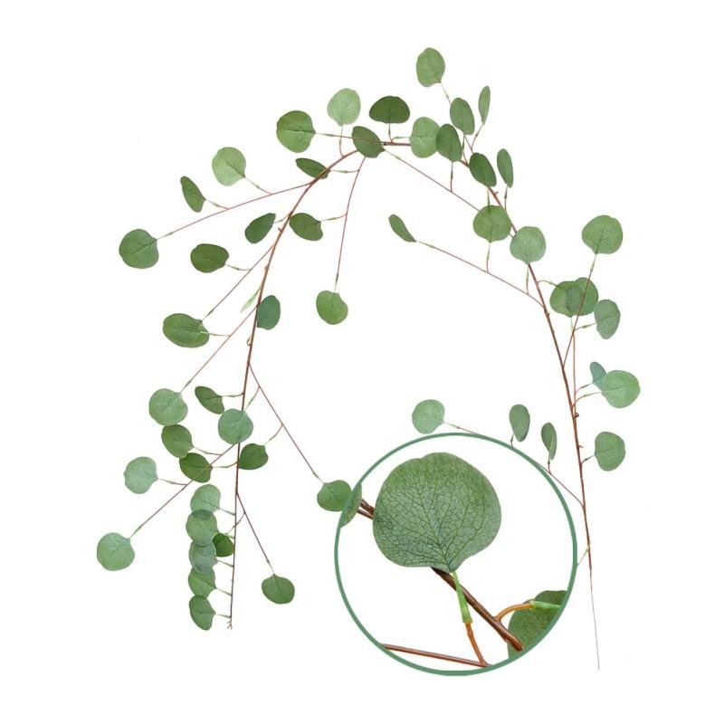 2m Artificial Eucalyptus Leaves Vine Fake Greenery Garland Wedding Party Decoration Home Decor Supplies
2m Artificial Eucalyptus Leaves Vine Fake Greenery Garland Wedding Party Decoration Home Decor Supplies