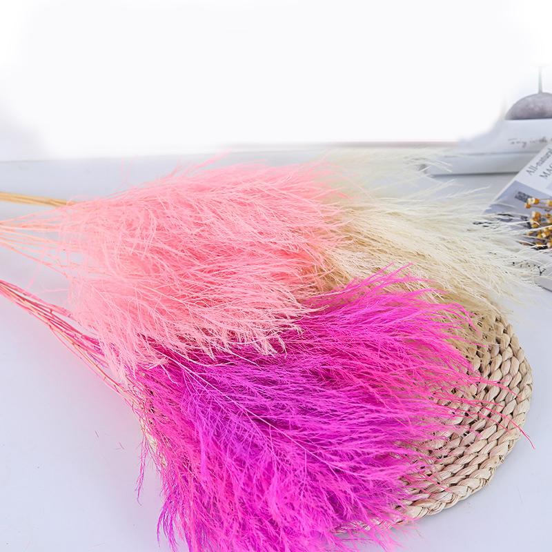 10pcs 20pcs Pink Rosy Cream Natrual Dried Flower Feather Grass Home Room Decor Table Wedding Party Decoration Dry Flower
10pcs 20pcs Pink Rosy Cream Natrual Dried Flower Feather Grass Home Room Decor Table Wedding Party Decoration Dry Flower