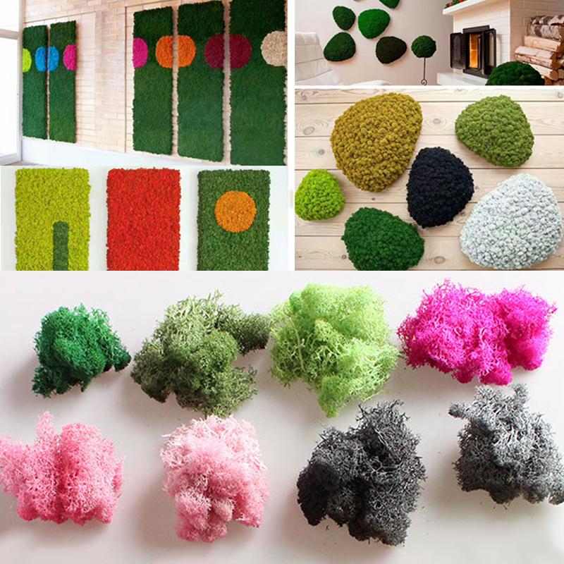 Artificial Plant Eternal Life Moss Garden Home Wedding Christmas Decoration Wall DIY Flower Micro Landscape Accessories, Red 
Artificial Plant Eternal Life Moss Garden Home Wedding Christmas Decoration Wall DIY Flower Micro Landscape Accessories, Red