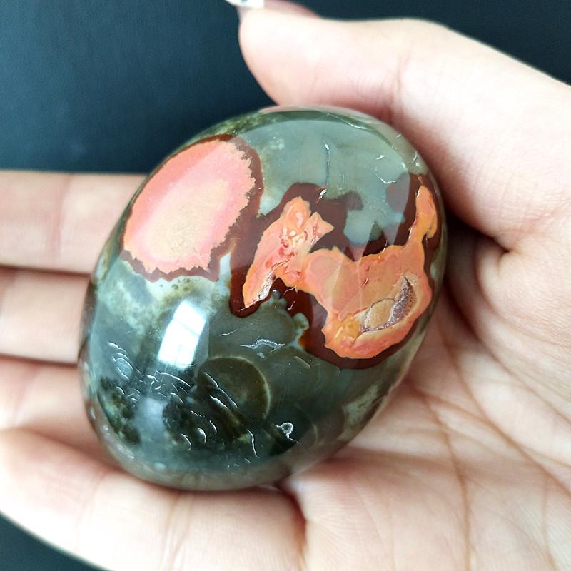 Natural stone Marine palm healing crystals Decorative collection stones and crystals
Natural stone Marine palm healing crystals Decorative collection stones and crystals