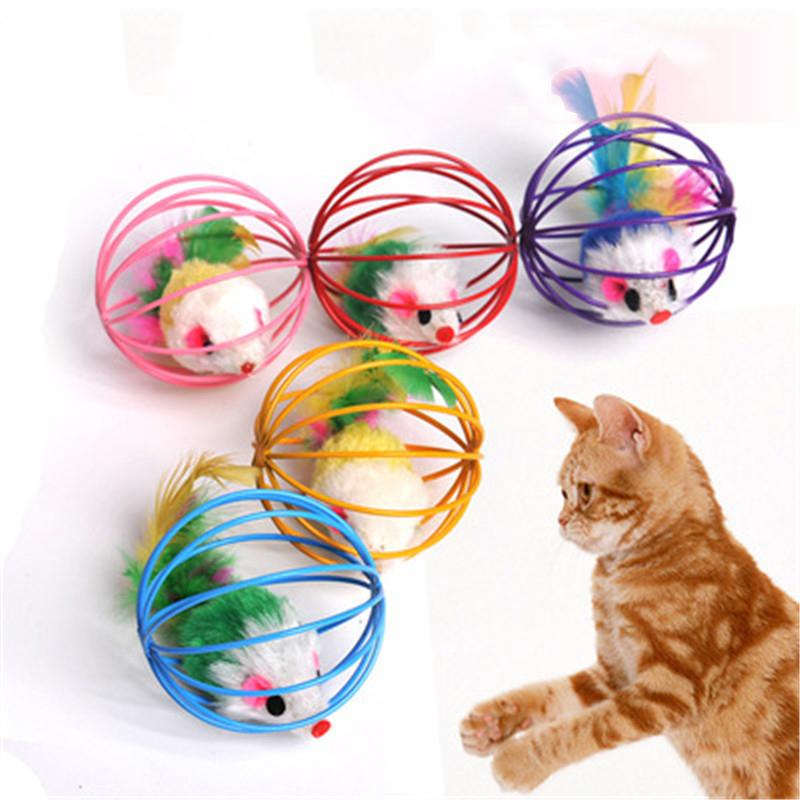 Cat Toys Cage Mouse Pet Rainbow Ball Stick Feather Wand Mouse Cage Toys Feather Play Toy Dogs Cats Color Pet Supplies
Cat Toys Cage Mouse Pet Rainbow Ball Stick Feather Wand Mouse Cage Toys Feather Play Toy Dogs Cats Color Pet Supplies