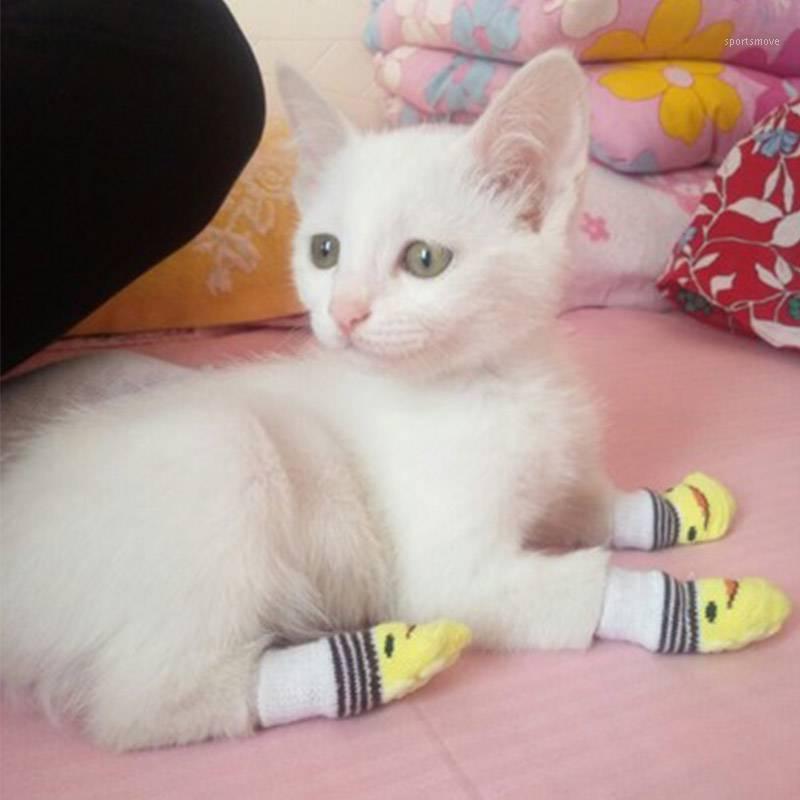 4pcs Warm Puppy Dog Shoes Soft Acrylic Pet Knits Socks Cute Cartoon Anti Slip Skid Socks For Small Medium Dogs Pet supplies1
4pcs Warm Puppy Dog Shoes Soft Acrylic Pet Knits Socks Cute Cartoon Anti Slip Skid Socks For Small Medium Dogs Pet supplies1
