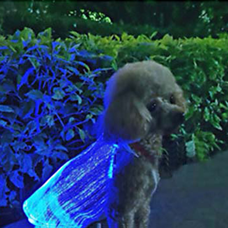 LED Glowing Cat Dog Apparel USB Rechargeable Colorful Anti-lost Luminous Pet Supplies