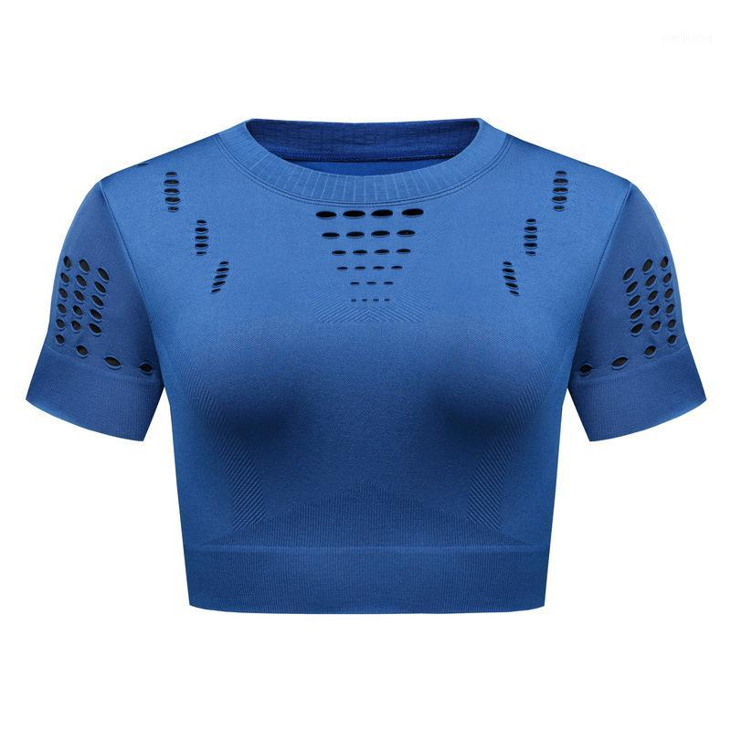 Yoga Tops Women Sport Shirt Fitness Jogging Running Shirt Quick Drying Summer Short Sleeve Sport Tops Women Gym Shirts Active1, Black
Yoga Tops Women Sport Shirt Fitness Jogging Running Shirt Quick Drying Summer Short Sleeve Sport Tops Women Gym Shirts Active1, Black