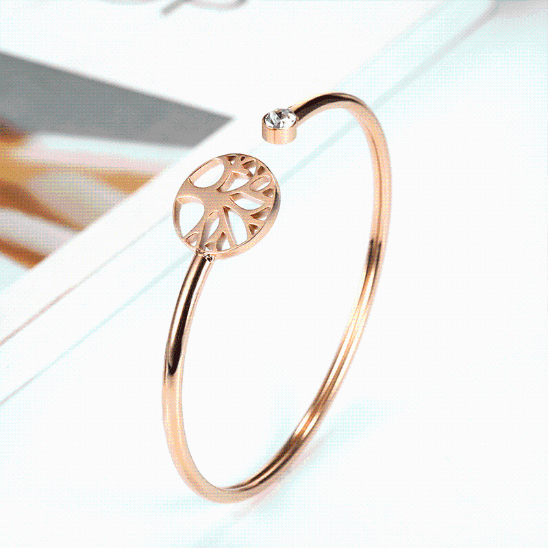Leaf heart-shaped stainless steel bangles bracelet charm best friend bracelet charm female friendship zircon jewelry wholesale
Leaf heart-shaped stainless steel bangles bracelet charm best friend bracelet charm female friendship zircon jewelry wholesale