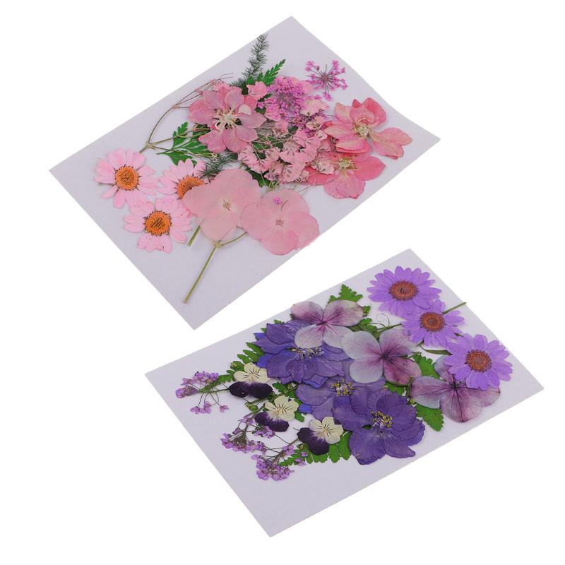 13 Kinds Flowers Natural Press Leaves Pressed Real Dried Flower Dry Leaves for DIY Arts Crafts Liquid Resin Pendant Scrapbooking, As pic
13 Kinds Flowers Natural Press Leaves Pressed Real Dried Flower Dry Leaves for DIY Arts Crafts Liquid Resin Pendant Scrapbooking, As pic