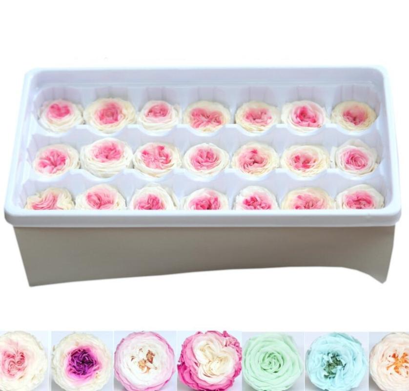 21pcs 2-3cm Preserved Flower Austin Rose Bud Head For Wedding Party Holiday Birthday Velentine's Day Gift Favor, Q7
21pcs 2-3cm Preserved Flower Austin Rose Bud Head For Wedding Party Holiday Birthday Velentine's Day Gift Favor, Q7