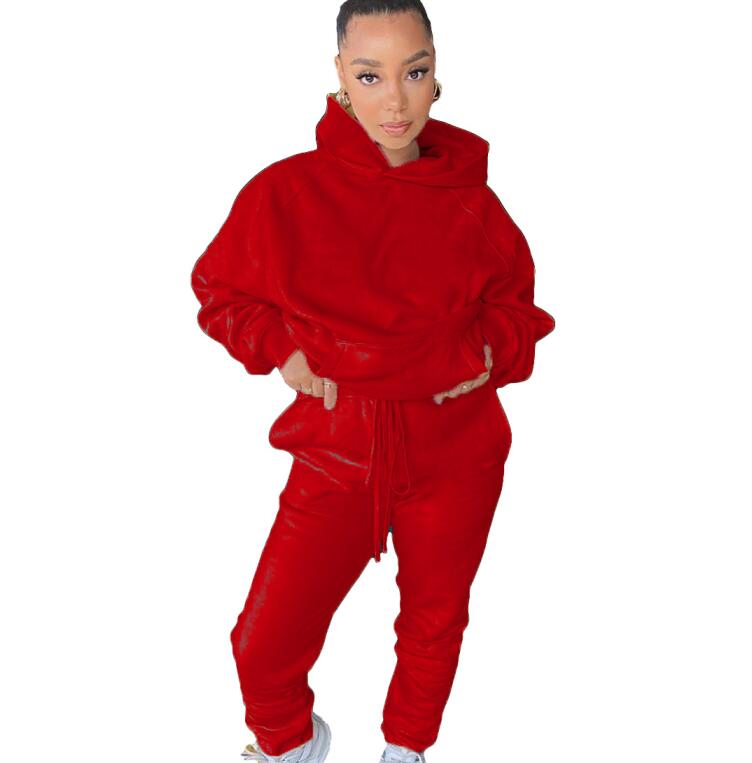 Women Clothes Two Piece Sets 2 piece woman set womens sweat suits Plus Size Jogging Sport Suit Soft Long Sleeve Tracksuit Sportswear, Gray
Women Clothes Two Piece Sets 2 piece woman set womens sweat suits Plus Size Jogging Sport Suit Soft Long Sleeve Tracksuit Sportswear, Gray