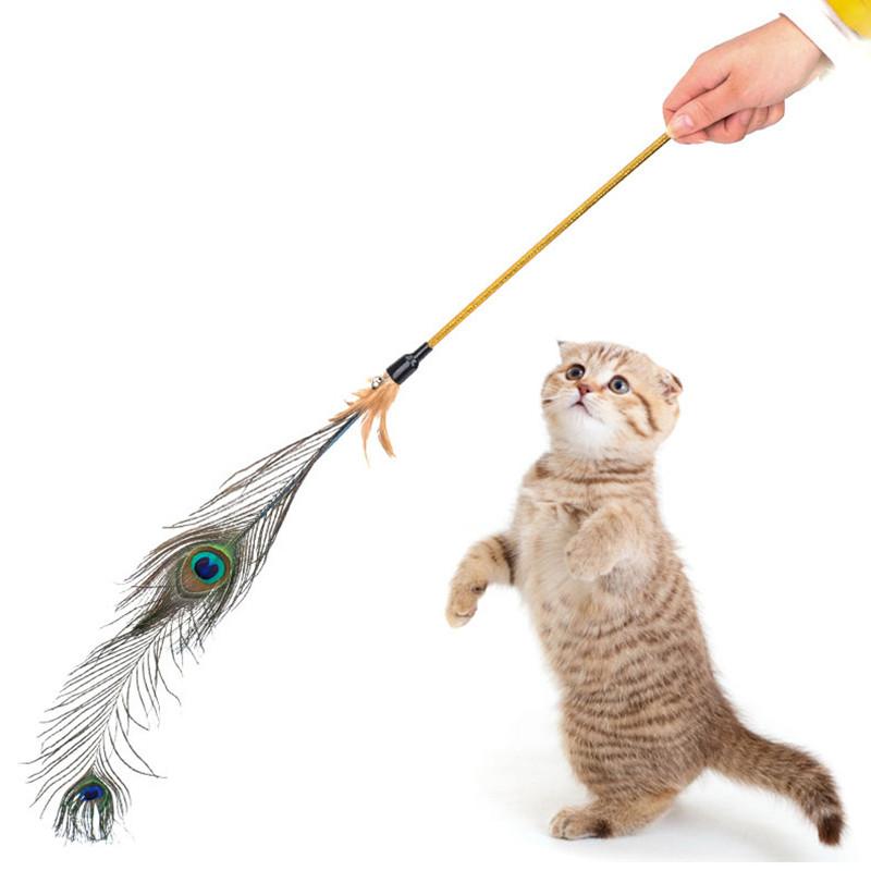 Pet Cat Feather Toy bells Cute Design Wire Feather Teaser Wand Plastic Toy Cat Play Teaser For interactive fun
Pet Cat Feather Toy bells Cute Design Wire Feather Teaser Wand Plastic Toy Cat Play Teaser For interactive fun