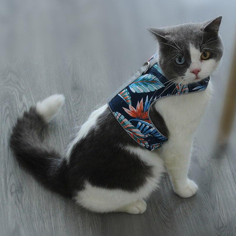 New Cat Dog Adjustable Harness Vest Reflective Anti-strike Chest Strap Traction Walking Lead Leash For Puppy
New Cat Dog Adjustable Harness Vest Reflective Anti-strike Chest Strap Traction Walking Lead Leash For Puppy