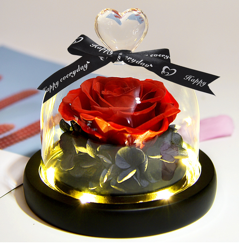 Valentines Day Gift Beauty and The Beast Preserved In Glass Dome Wedding Gifts for Guests Mother's Day Valentines Day Gift, Red 1
Valentines Day Gift Beauty and The Beast Preserved In Glass Dome Wedding Gifts for Guests Mother's Day Valentines Day Gift, Red 1