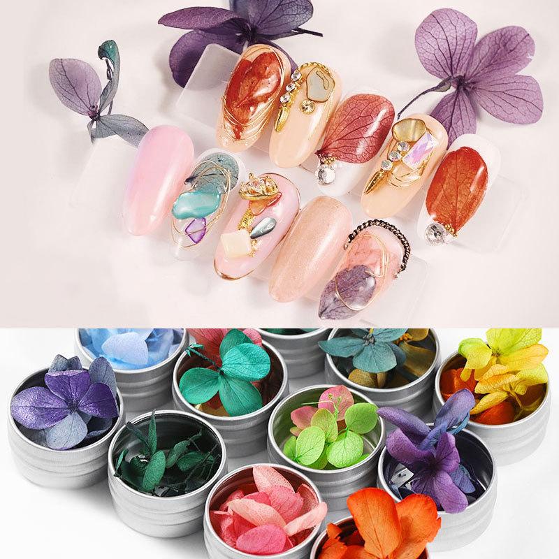 Dried Flowers Leaf Nail Decoration Natural Floral Sticker 3D Manicure Dry Bloom Tips Real Preserved Flower Natural Nail Tools
Dried Flowers Leaf Nail Decoration Natural Floral Sticker 3D Manicure Dry Bloom Tips Real Preserved Flower Natural Nail Tools