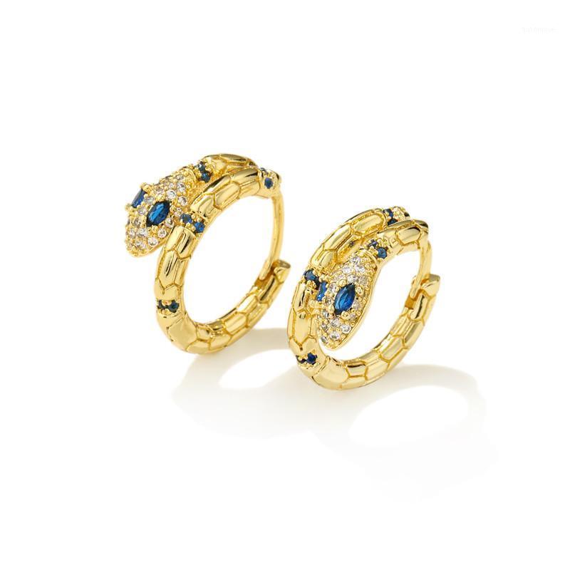 2020 Fashion Blue Cubic Zirconia Snake Earring Jewelry For Women Girl Hot Sale Snake Hoop Earring Female Party Jewelry Gift1
2020 Fashion Blue Cubic Zirconia Snake Earring Jewelry For Women Girl Hot Sale Snake Hoop Earring Female Party Jewelry Gift1
