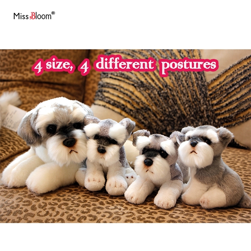 kawaii Schnauzer Dog Plush Toy Small Soft Simulation Kids Stuffed Animal Toys for Children Cute Photo Props Girls Birthday Gift 201212
kawaii Schnauzer Dog Plush Toy Small Soft Simulation Kids Stuffed Animal Toys for Children Cute Photo Props Girls Birthday Gift 201212
