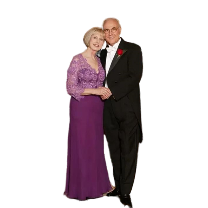 Elegant Purple Top Lace Mother of the Bride Dresses V Neck Long Mermaid Wedding Party Dress Formal Evening Gowns Plus Size Women Groom Mother's S