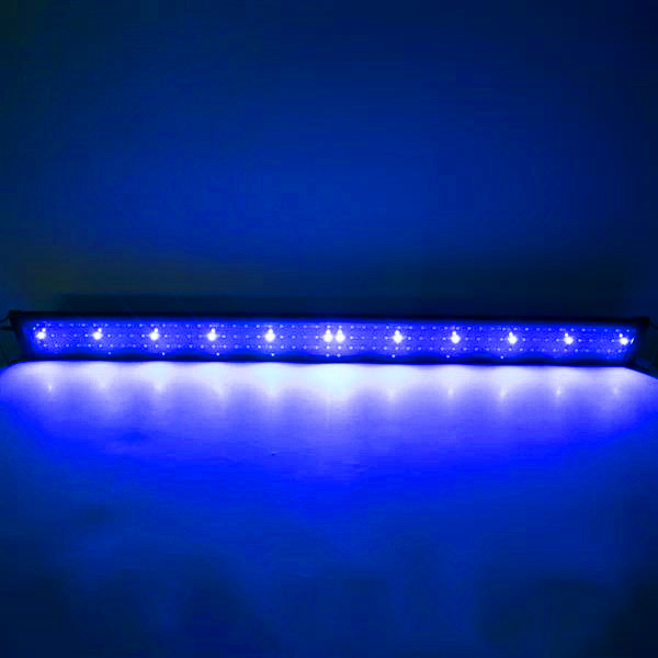 New Design 24W 156LED Full Spectrum Water Lamp 47.2inch Black US Standard Aquarium Lights (Suitable For 47.2-55.1inch Long Aquarium)
New Design 24W 156LED Full Spectrum Water Lamp 47.2inch Black US Standard Aquarium Lights (Suitable For 47.2-55.1inch Long Aquarium)