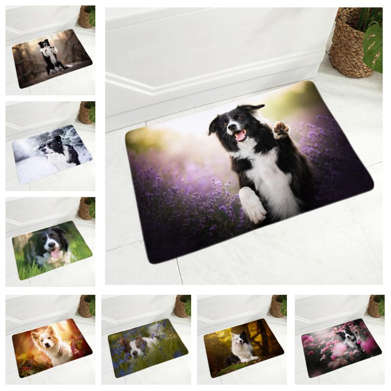 Pet Dog Animal Doormat Decor Scotland Border Collie Floor Door Mat Non-Slip Soft Flannel Carpet for Hallway kitchen Room 40x60cm
Pet Dog Animal Doormat Decor Scotland Border Collie Floor Door Mat Non-Slip Soft Flannel Carpet for Hallway kitchen Room 40x60cm