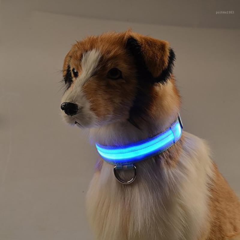 3 Mode USB Charging Pet Dog Collar Rechargeable LED Tube Flashing Night Dog Collars Luminous Safety Puppy Cat Collar1
3 Mode USB Charging Pet Dog Collar Rechargeable LED Tube Flashing Night Dog Collars Luminous Safety Puppy Cat Collar1