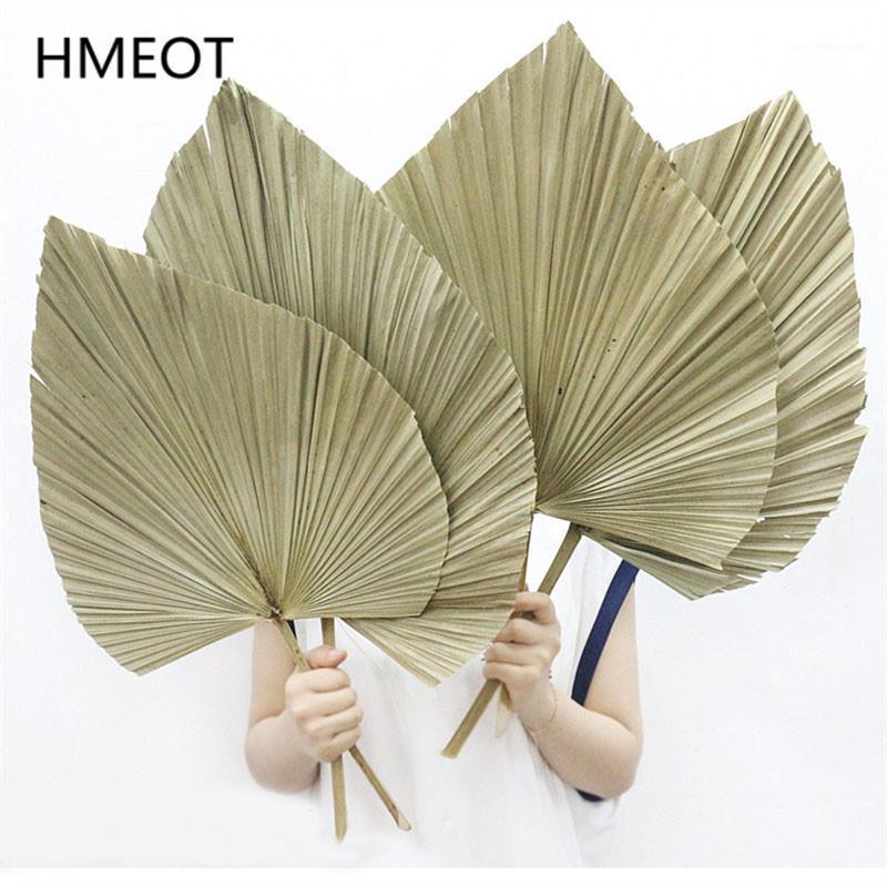 Natural Dried Leaf Artificial Flower Colorful Large Dried Plants Leaf Sunflowers Photo Props Wedding Flower Materials Home Decor1, Natural color
Natural Dried Leaf Artificial Flower Colorful Large Dried Plants Leaf Sunflowers Photo Props Wedding Flower Materials Home Decor1, Natural color