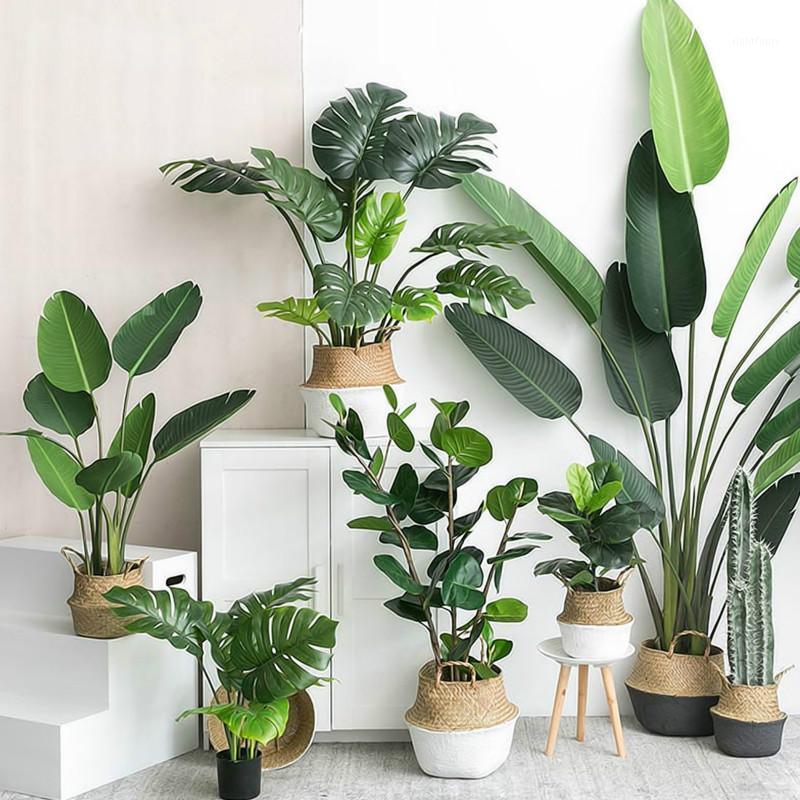 1PC Artificial Plants Green Turtle Leaves Garden Home Decor Mexican Autumn Decoration Artificial Grass Plant Flowers1, 12 heads 22cm
1PC Artificial Plants Green Turtle Leaves Garden Home Decor Mexican Autumn Decoration Artificial Grass Plant Flowers1, 12 heads 22cm