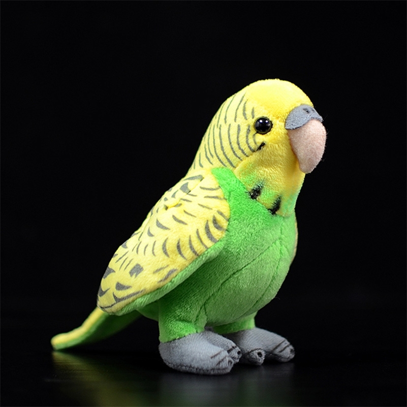 Simulation Budgerigar Plush Toys Green Bird Soft Kids Lovely Gifts Kawaii Lifelike Stuffed Animals Dolls Melopsittacus undulatus 201214
Simulation Budgerigar Plush Toys Green Bird Soft Kids Lovely Gifts Kawaii Lifelike Stuffed Animals Dolls Melopsittacus undulatus 201214
