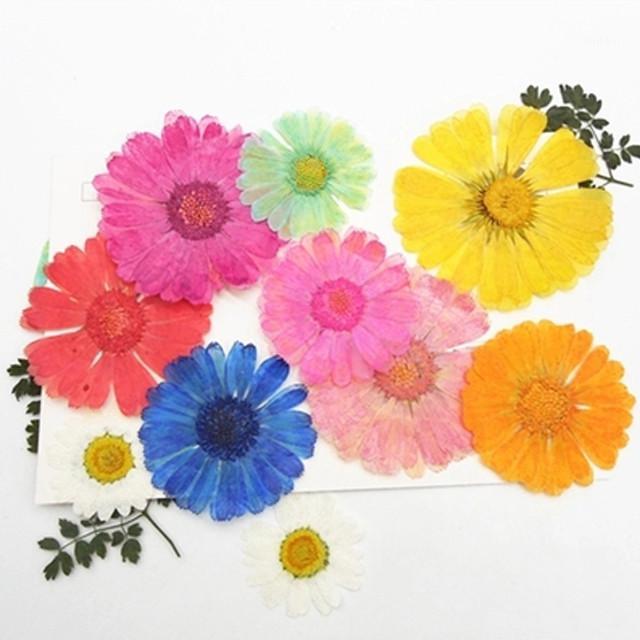 2020 Calendula Dyed Rose Red Specimen Real Dried Flowers DIY Decoration Free shipment 1 lot/60pcs1, Yellow 2 3-6cm
2020 Calendula Dyed Rose Red Specimen Real Dried Flowers DIY Decoration Free shipment 1 lot/60pcs1, Yellow 2 3-6cm
