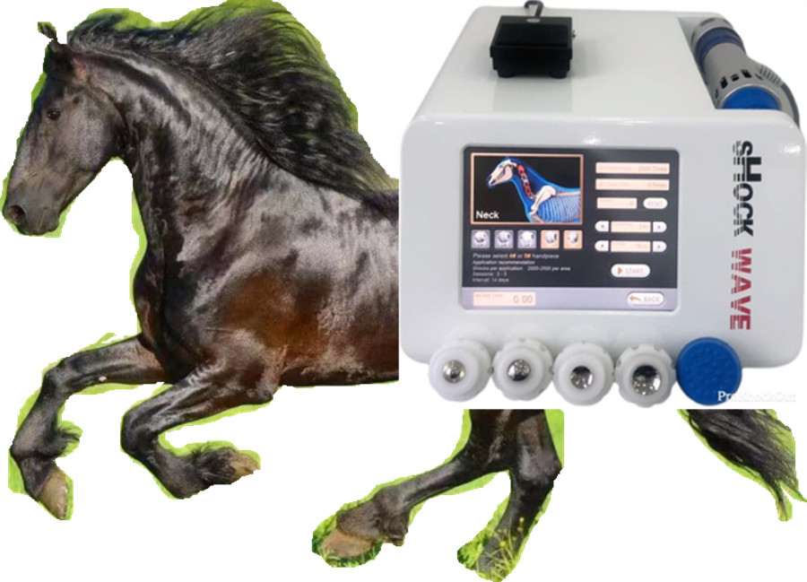 Competitive portable Veterinaria shockwave therapy machine Health Gadgets equine shock wave for horse and animals painless pain relief
Competitive portable Veterinaria shockwave therapy machine Health Gadgets equine shock wave for horse and animals painless pain relief