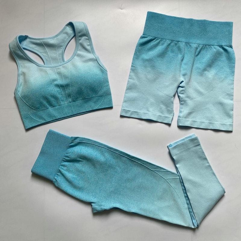 3PCS Yoga Set Seamless Sports Bra+Fitness Short+High Waist Sport Leggings Women Running Gym Clothing Sport Suit Sportswear, Pink
3PCS Yoga Set Seamless Sports Bra+Fitness Short+High Waist Sport Leggings Women Running Gym Clothing Sport Suit Sportswear, Pink