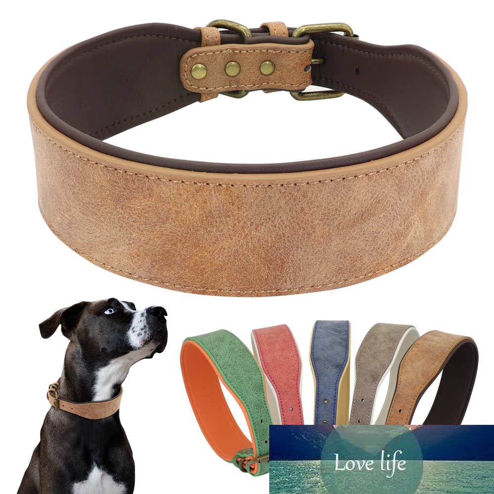 Wide Leather Dog Collar Large Soft Padded Pet Dog Collars Perro for Medium Large Dogs Pitbull German Shepherd Bulldog 2XL
Wide Leather Dog Collar Large Soft Padded Pet Dog Collars Perro for Medium Large Dogs Pitbull German Shepherd Bulldog 2XL